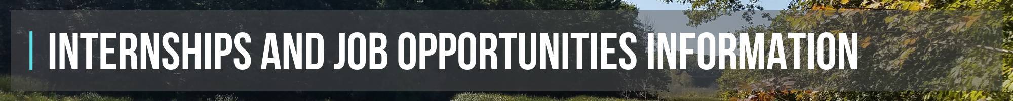 Internships and Job Opportunities Information